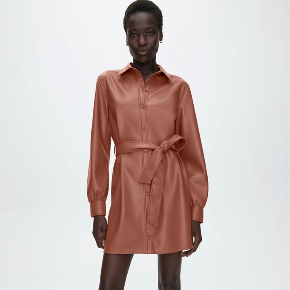 Aritzia Wilfred Caroline Vegan Dress